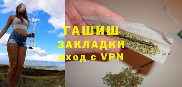 гидра Каменка