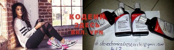 эйфоретик Иннополис