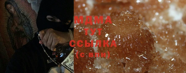 гидра Каменка