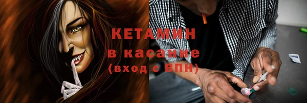 шишки Каменногорск