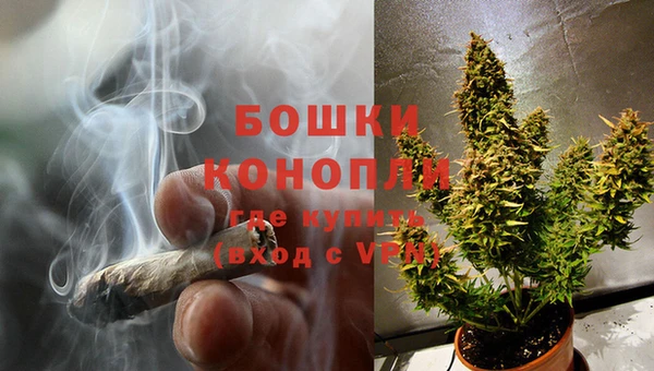 гидра Каменка