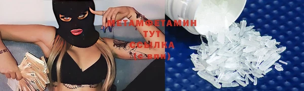 гидра Каменка