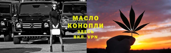 шишки Каменногорск