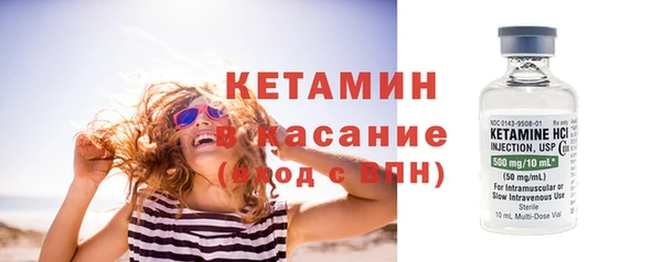 шишки Каменногорск