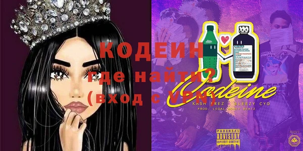 гидра Каменка