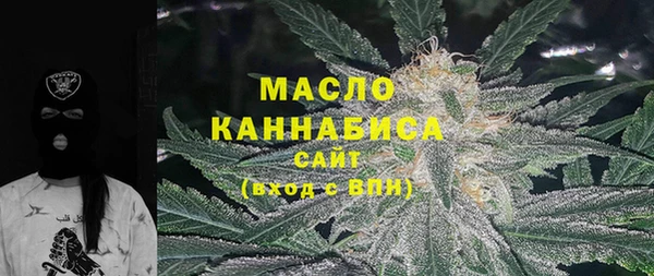 гидра Каменка