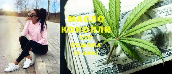 шишки Каменногорск