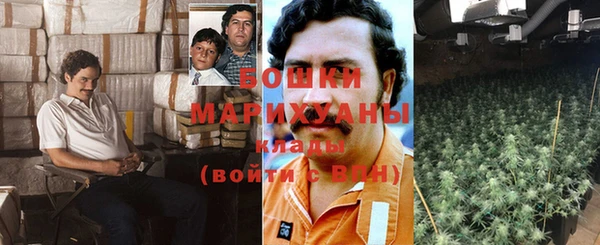 шишки Каменногорск