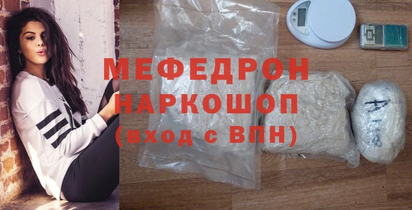 гидра Каменка