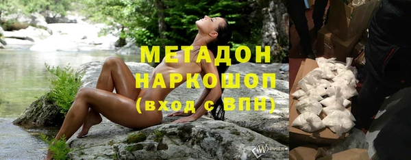 гидра Каменка