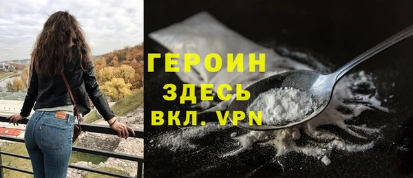 гидра Каменка