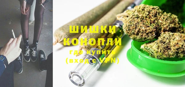 гидра Каменка