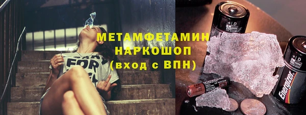 гидра Каменка