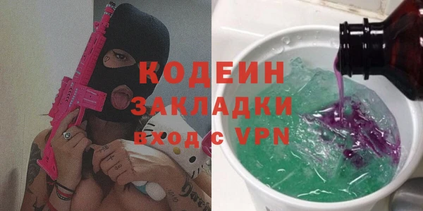шишки Каменногорск
