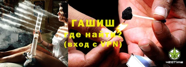 гидра Каменка