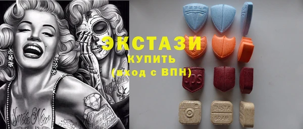 гидра Каменка